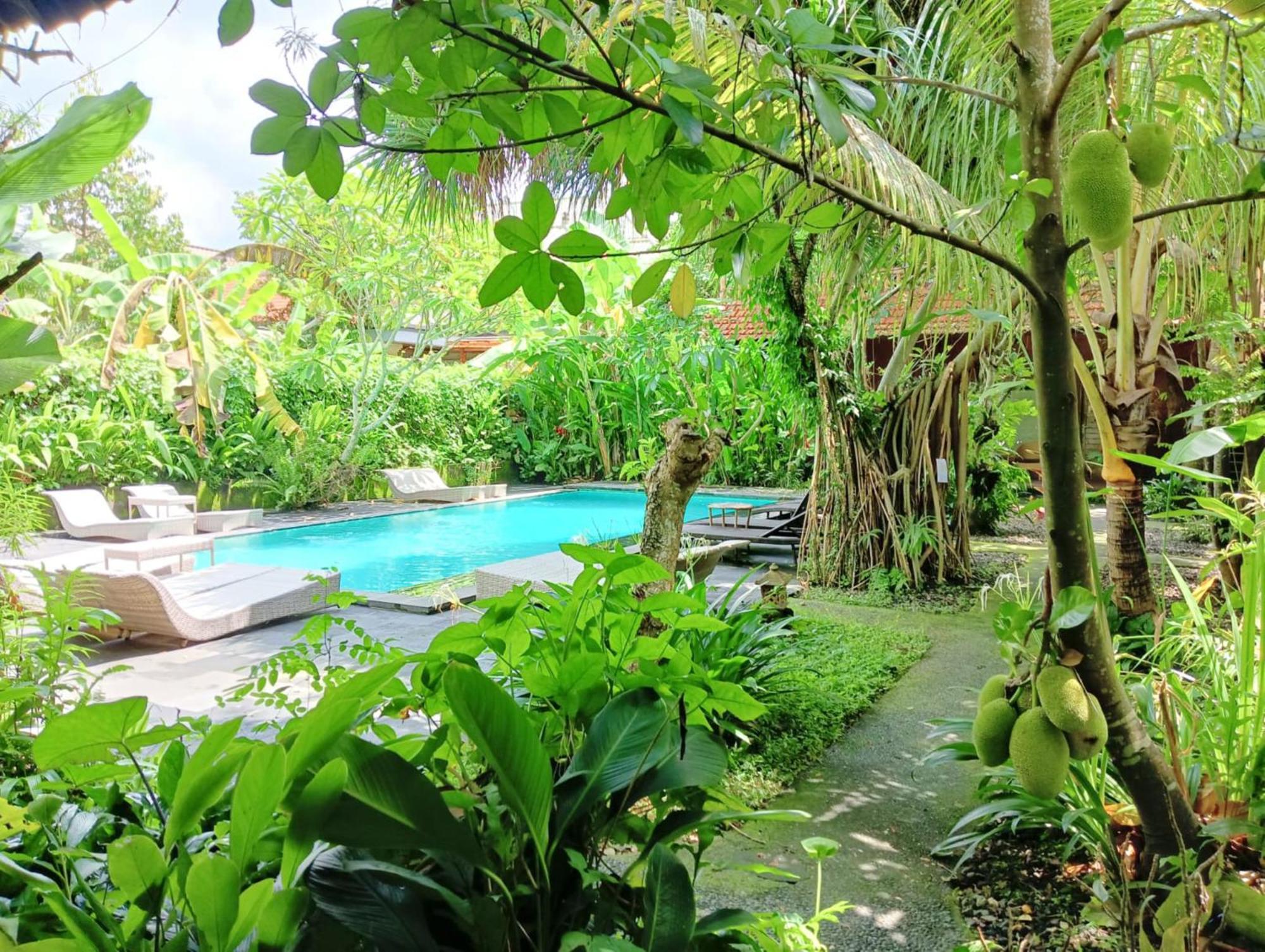 Hotel Ubad Retreat Ubud Esterno foto