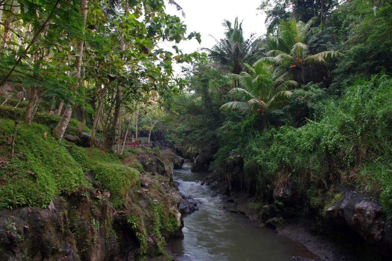 Hotel Ubad Retreat Ubud Esterno foto